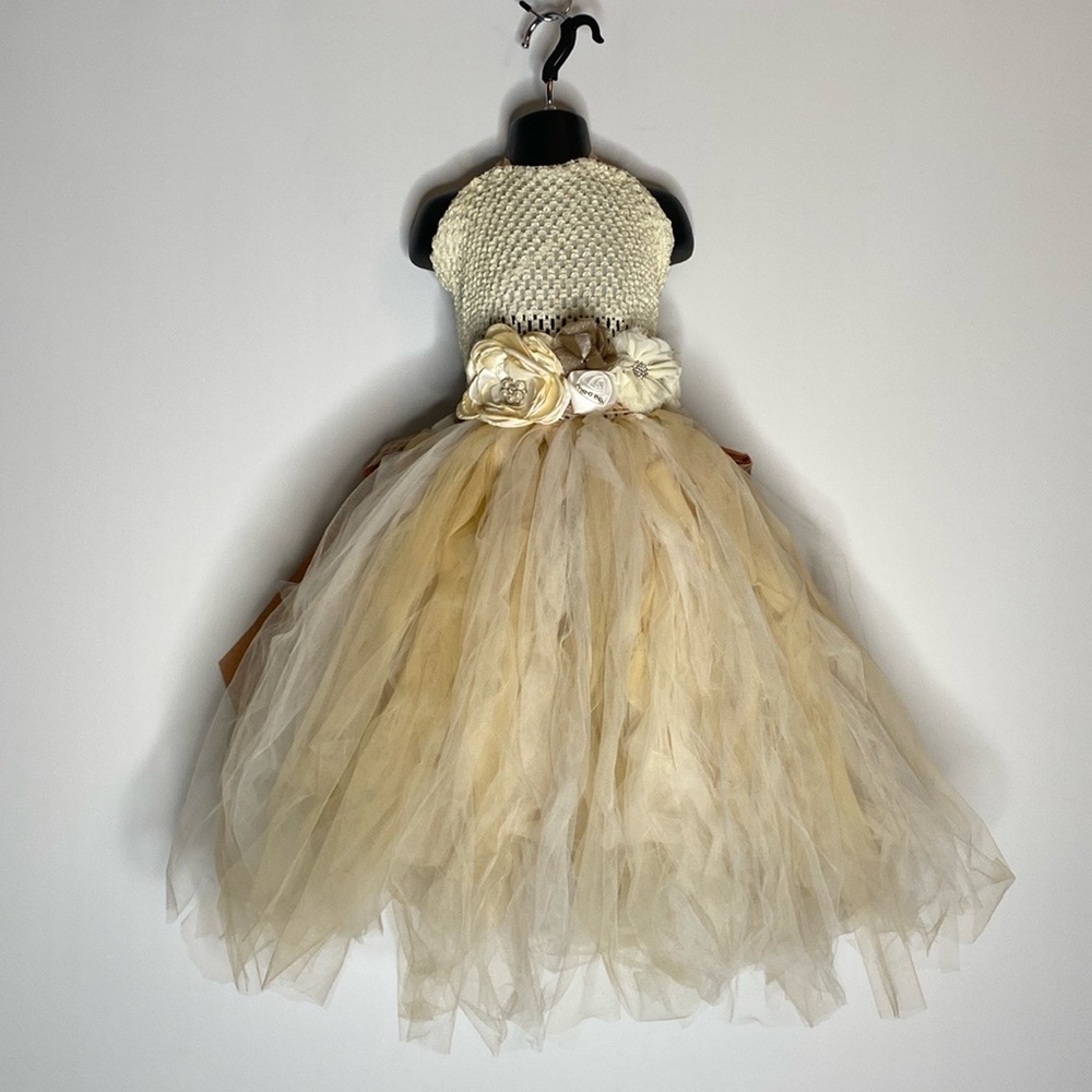 Girl’s Tulle Dresses (2 available)